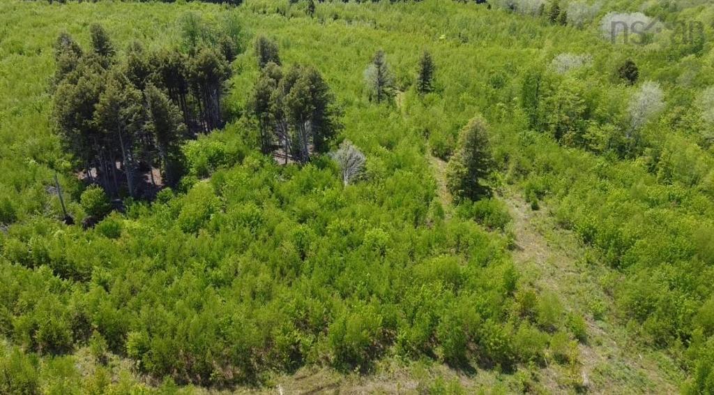 93A Junction Road, Springhill, NS