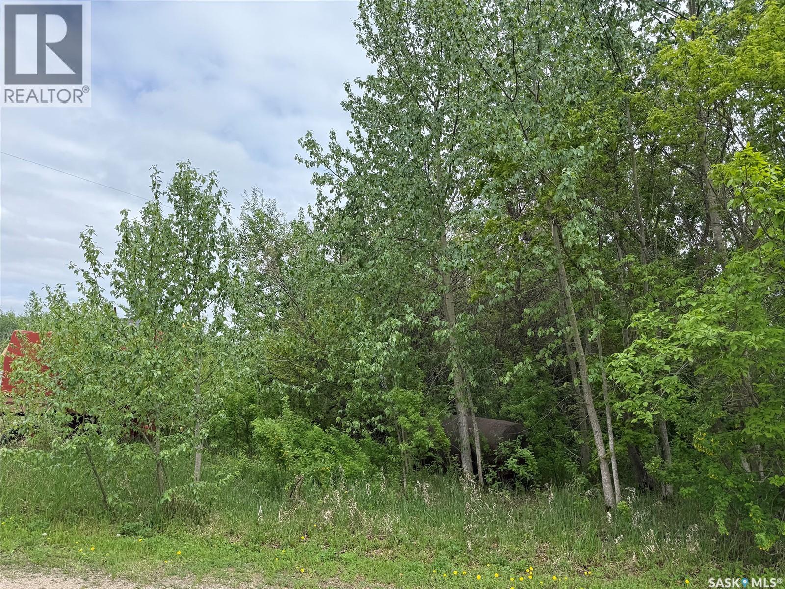 Larose Acreage, Torch River Rm No. 488, SK