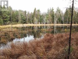 LOT 6 CON 5 Magnetawan (Spence), ON P0A 1P0