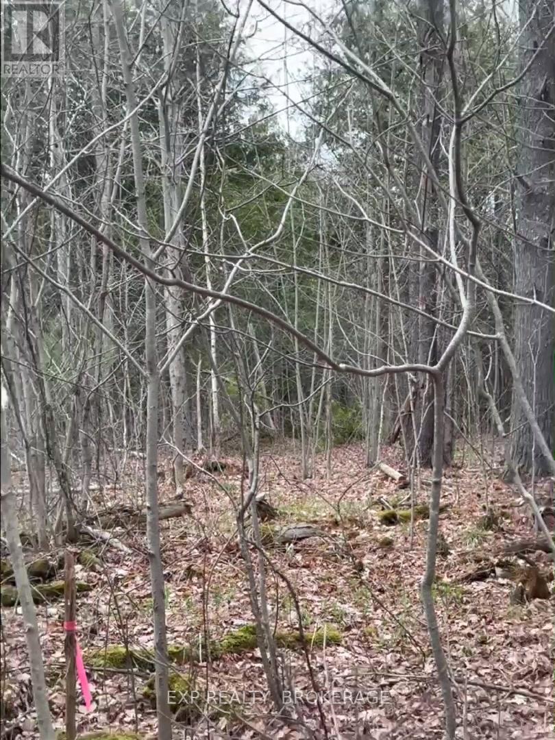 7666 Highway 38 Road, Frontenac (Frontenac South), ON
