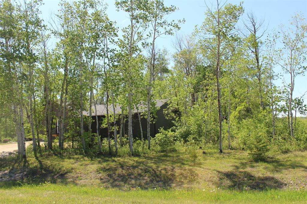 A view of the property from the corner of the road. So many trees provide nice privacy. - 7 Dalvik Road, Gimli Rm, MB