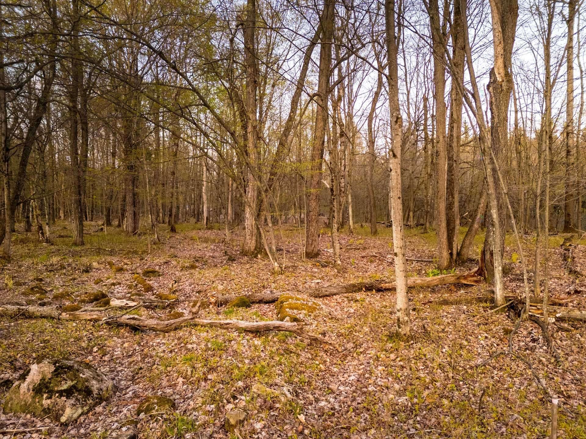 Terre/Terrain - 1-210 Rue De Louis-Hébert, Bromont, QC