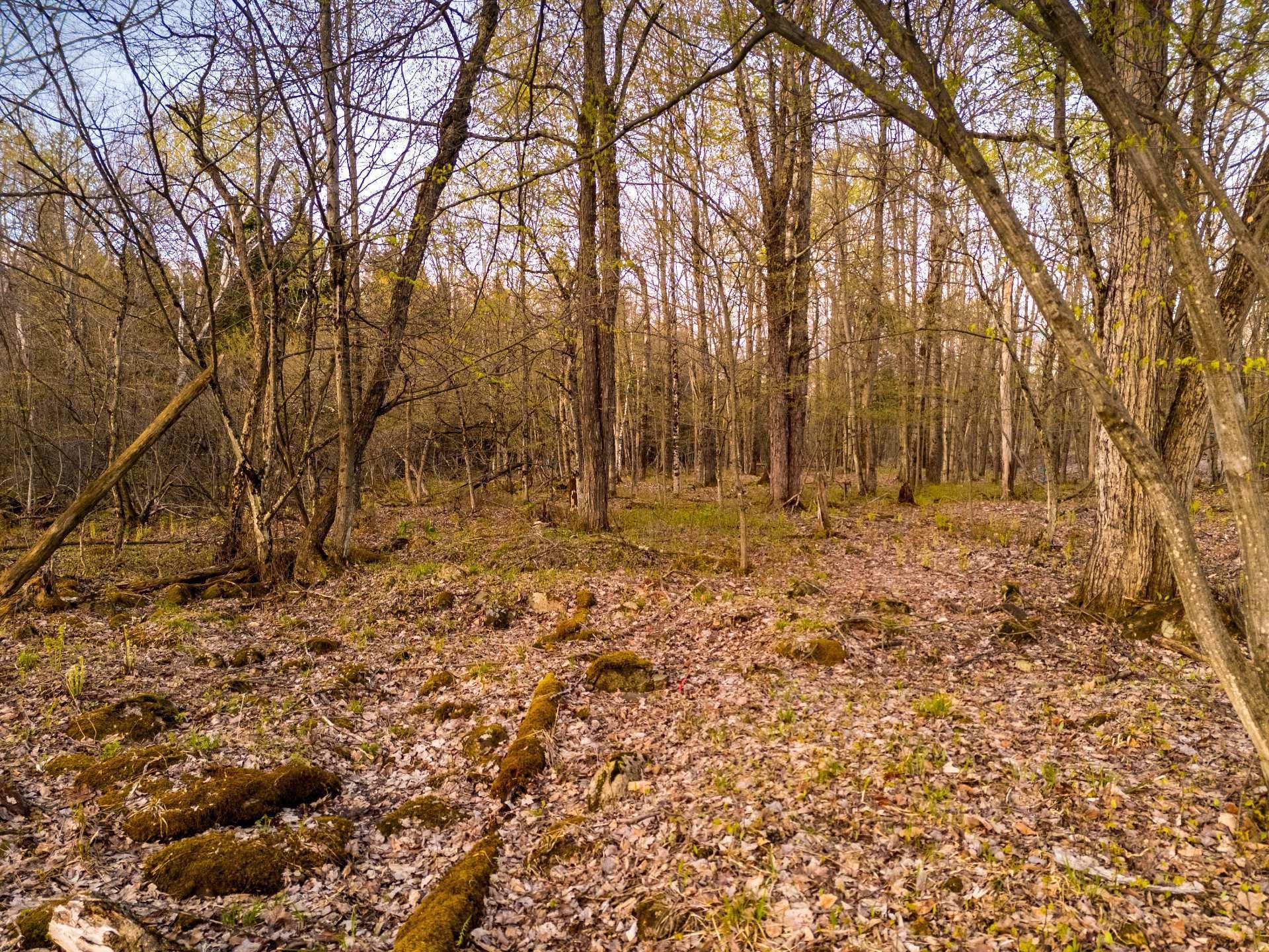 Terre/Terrain - 1-210 Rue De Louis-Hébert, Bromont, QC