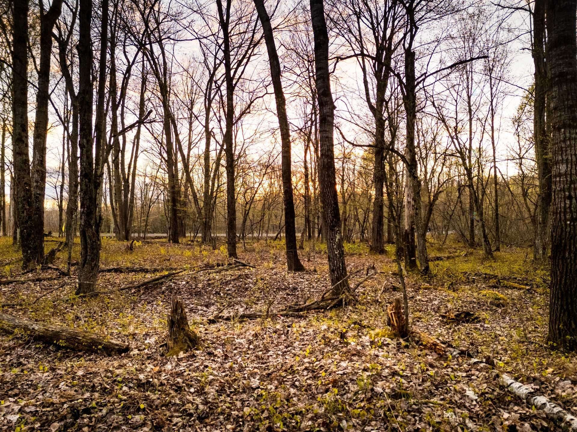Terre/Terrain - 1-210 Rue De Louis-Hébert, Bromont, QC