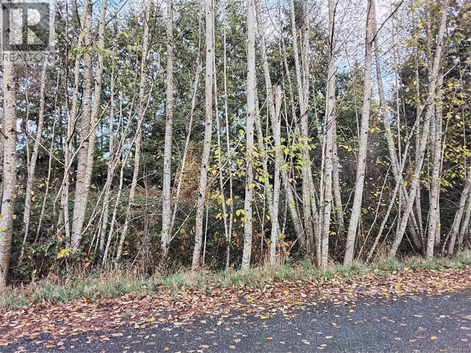 Lot E Tatton Rd, Courtenay, BC