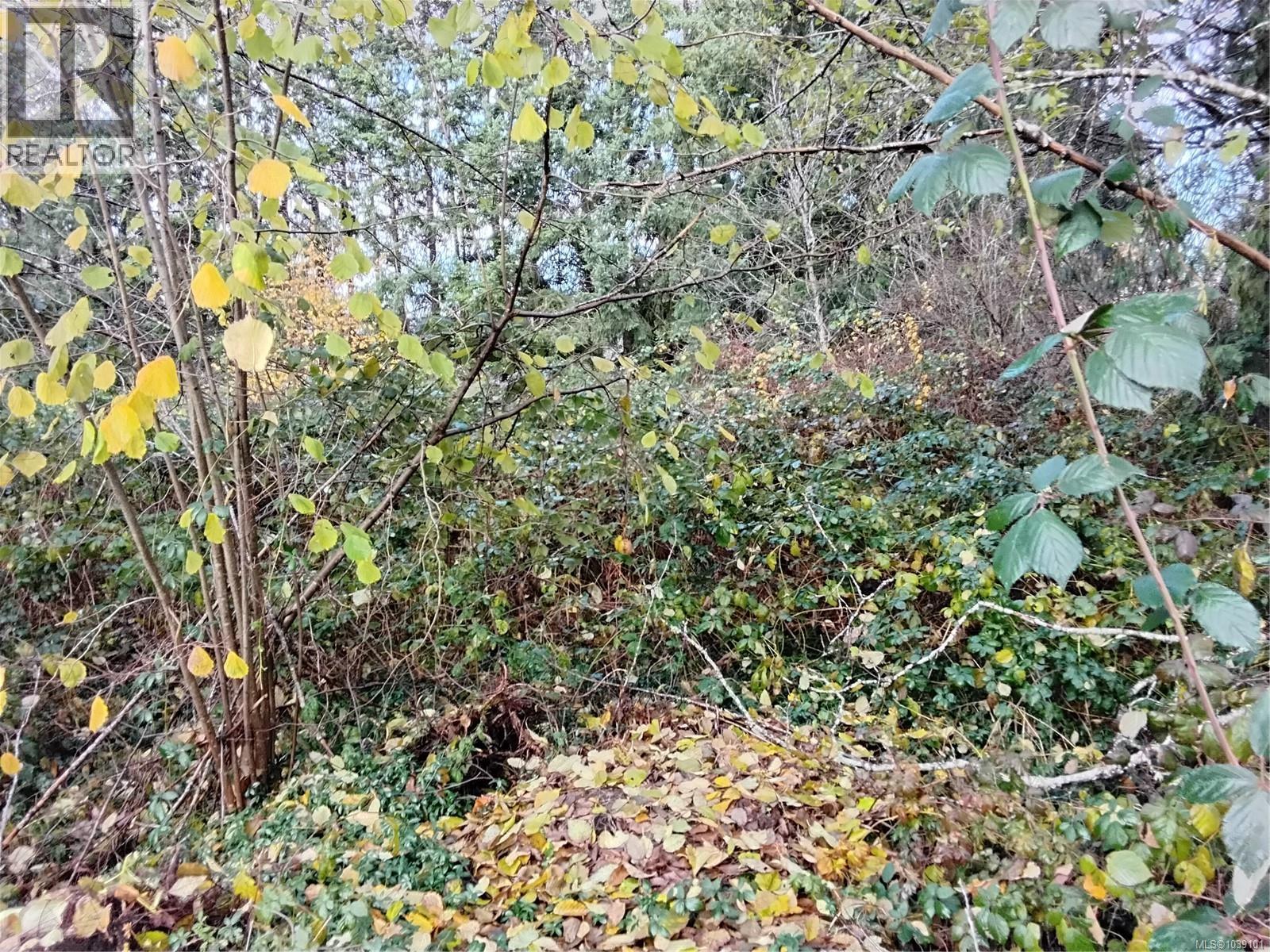 Lot E Tatton Rd, Courtenay, BC