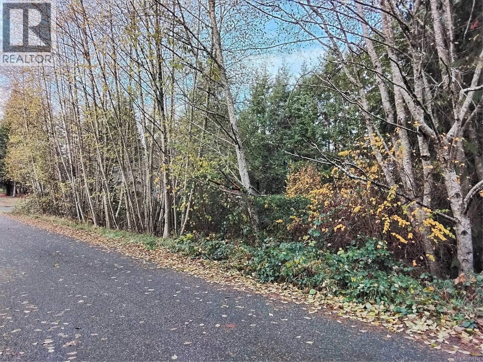 Lot E Tatton Rd, Courtenay, BC