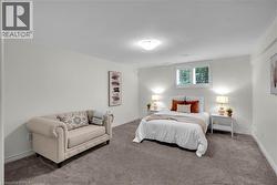 Carpeted room with a ceiling-mounted light fixture, white walls, and a window with white louvered shutters -