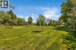 Expansive green space featuring a large lawn area and mature perimeter trees -