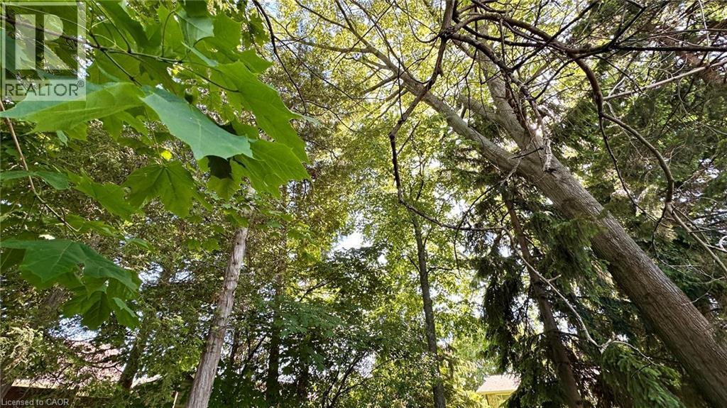 63 Lee Avenue, Simcoe, ON