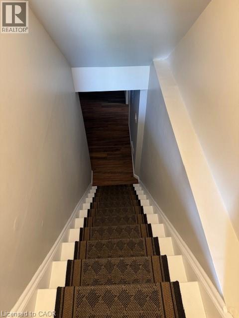 Staircase with a patterned runner and white risers, framed by light-toned walls and wood-finish flooring at the base - 113 Cornerbrook Crescent Unit# 2, Waterloo, ON