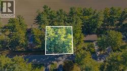 643 GAGE Street Delhi, ON N4B 2G7