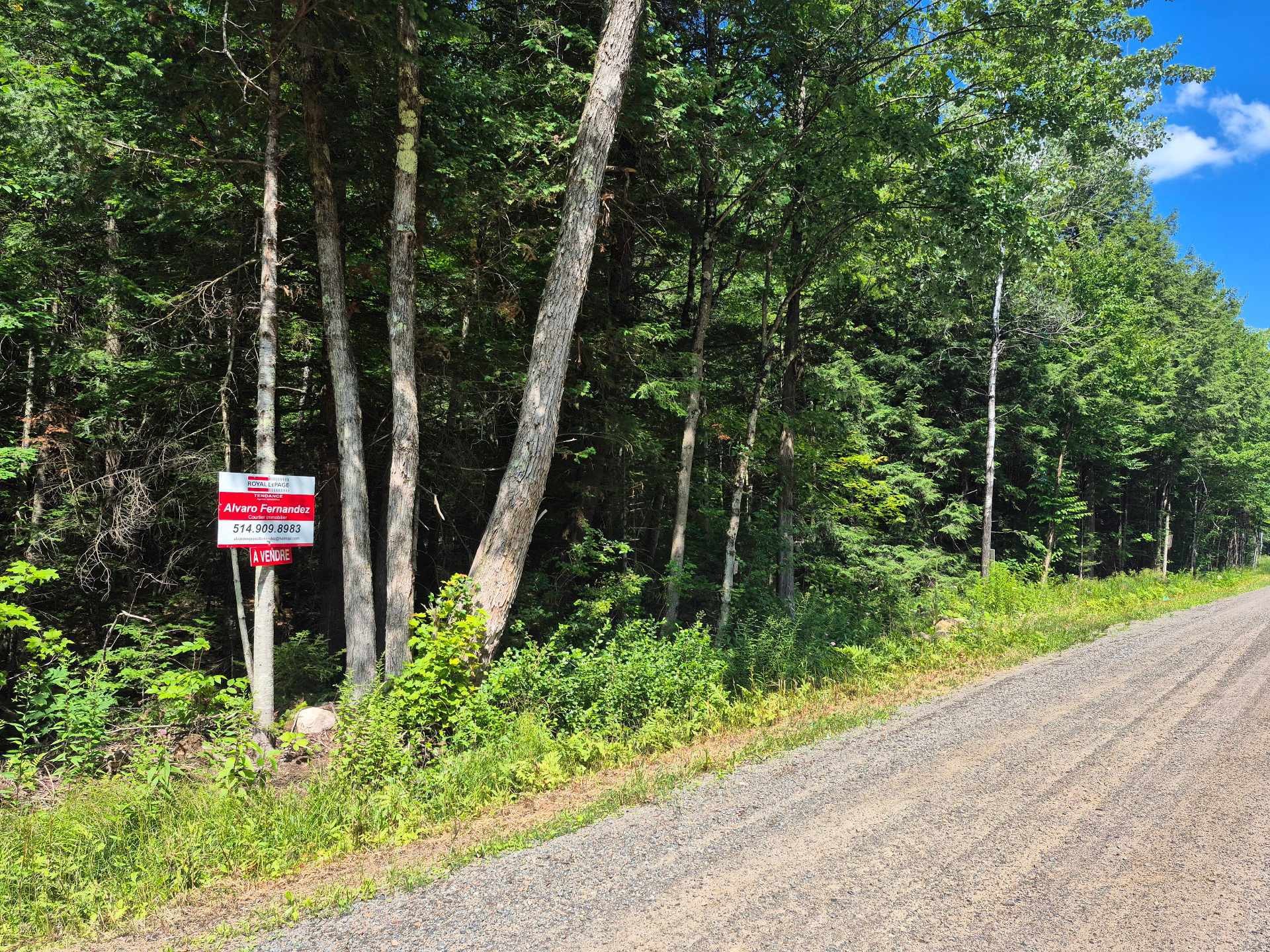 Terre/Terrain - Rue Du Progrès, Brownsburg-Chatham, QC