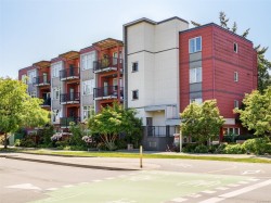 #205-4030 Borden St Saanich, BC V8X 2E9