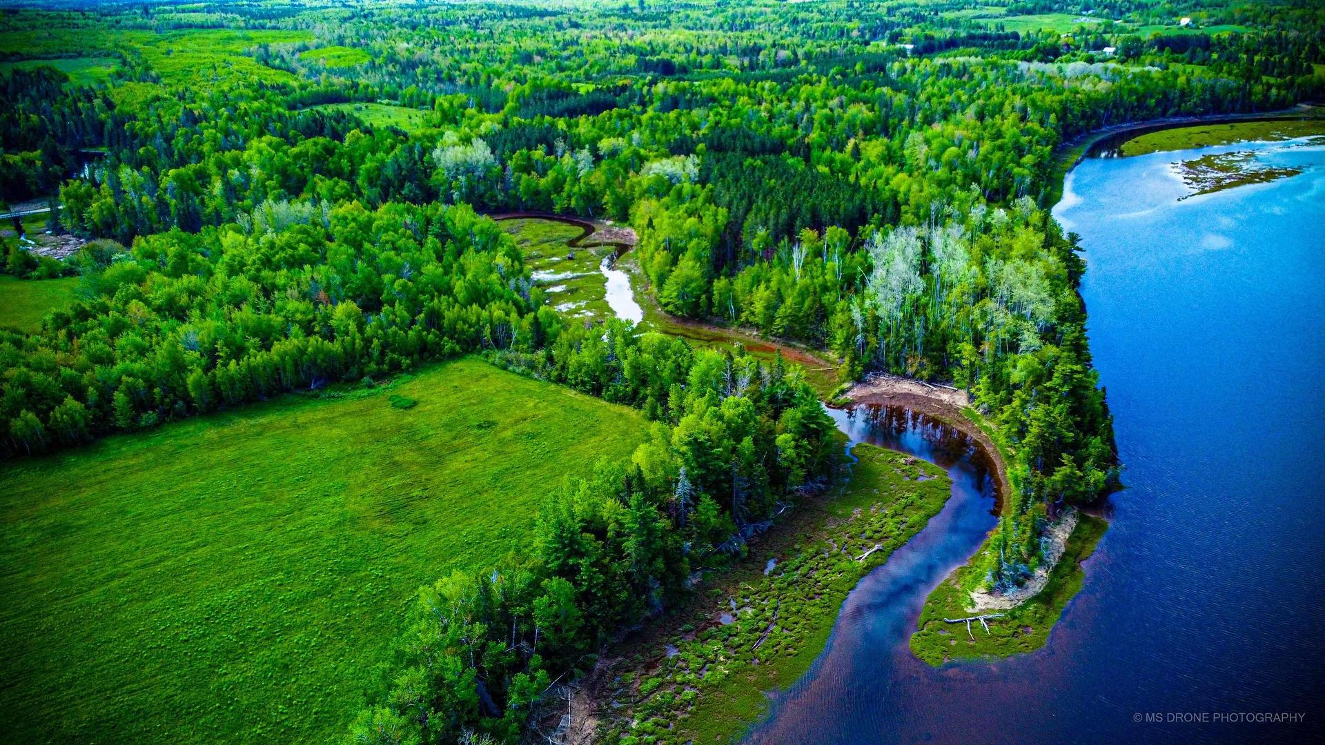 7729 Highway 321, Roslin, NS - Outdoor