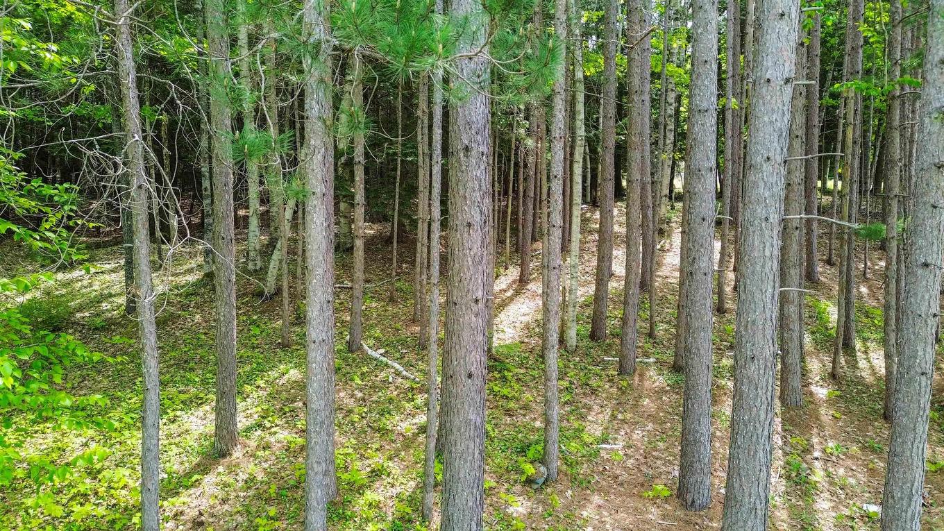 34 Palmer Lake Drive, Windsor Forks, NS
