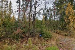 60 STAHLS ROAD Huntsville, ON P1H 2J4