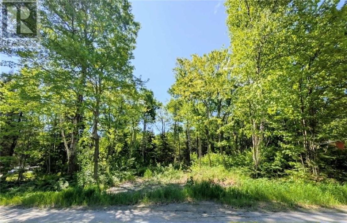 31 Eldon, Whitefish, ON