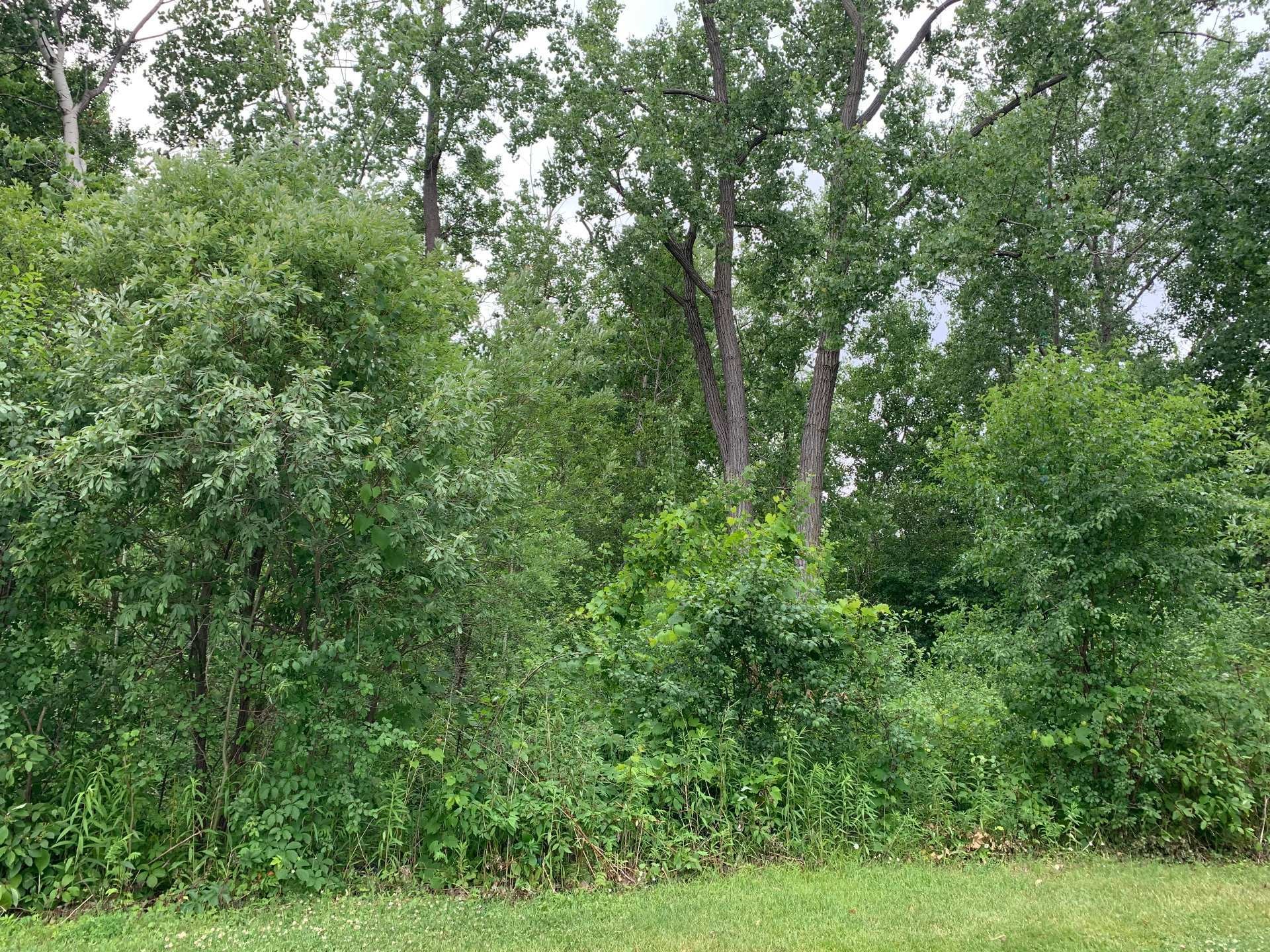 Boisé - 100E Avenue, Laval (Chomedey), QC