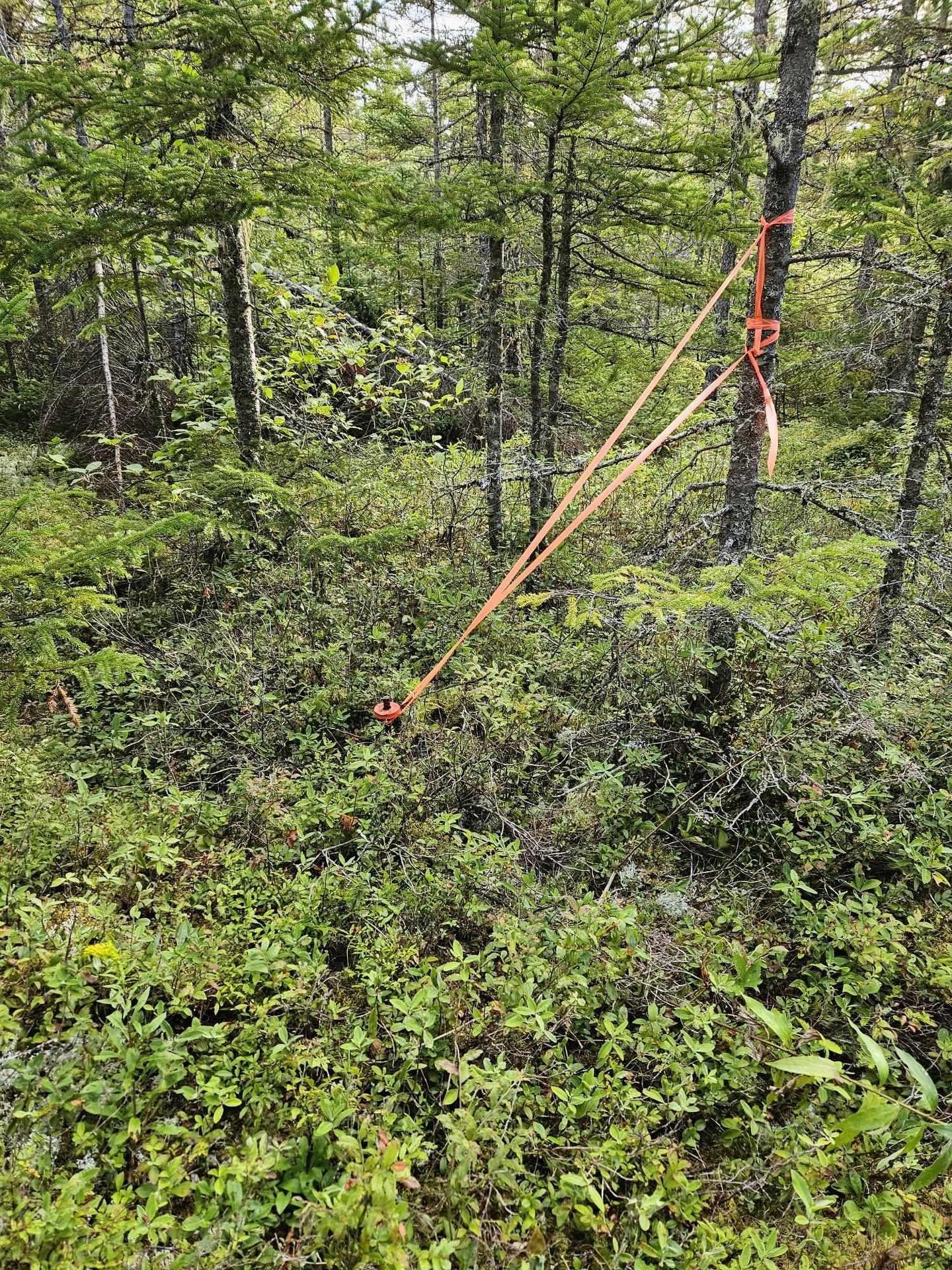 Cogswell Road, Evanston, NS