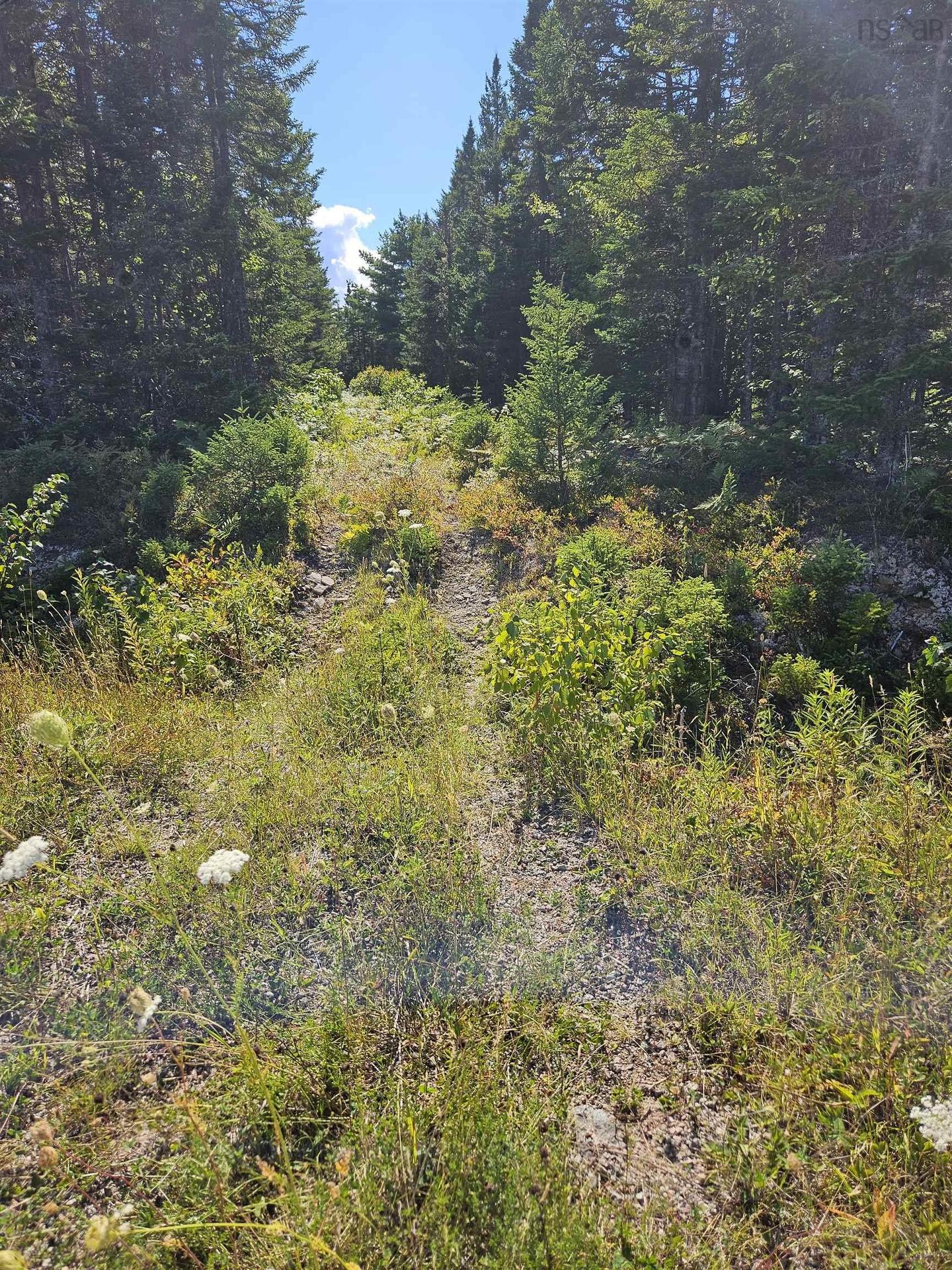 Cogswell Road, Evanston, NS