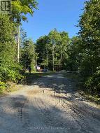 Driveway -
