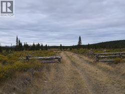 12252 W MAXWELL CREEK ROAD Williams Lake, BC V0L 1P0