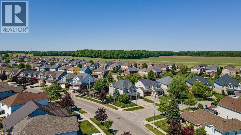 Residential subdivision featuring varied architectural styles and mature trees, bordered by expansive green fields - 61 Ditner Avenue, Baden, ON - Outdoor With View