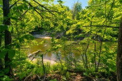 Water view -