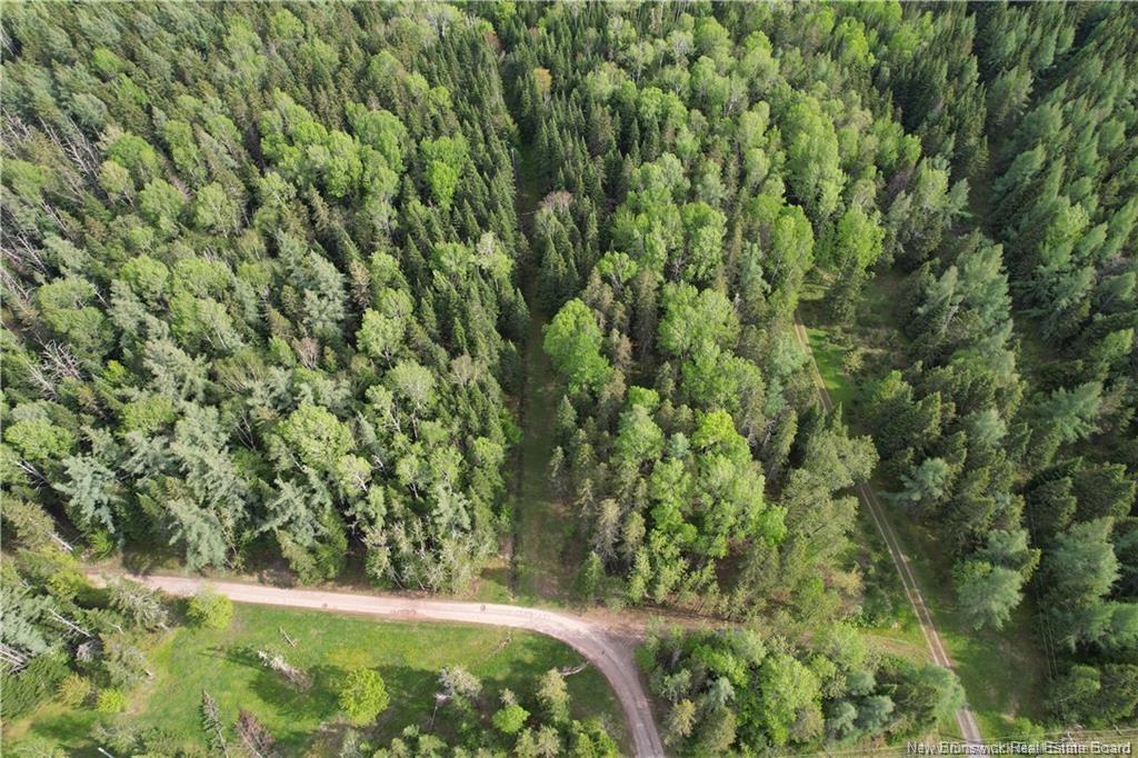 1194 Route 385, Oxbow, NB