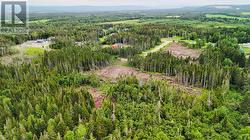 24 Silver Wood Crescent Cormack, NL A0A 0J1