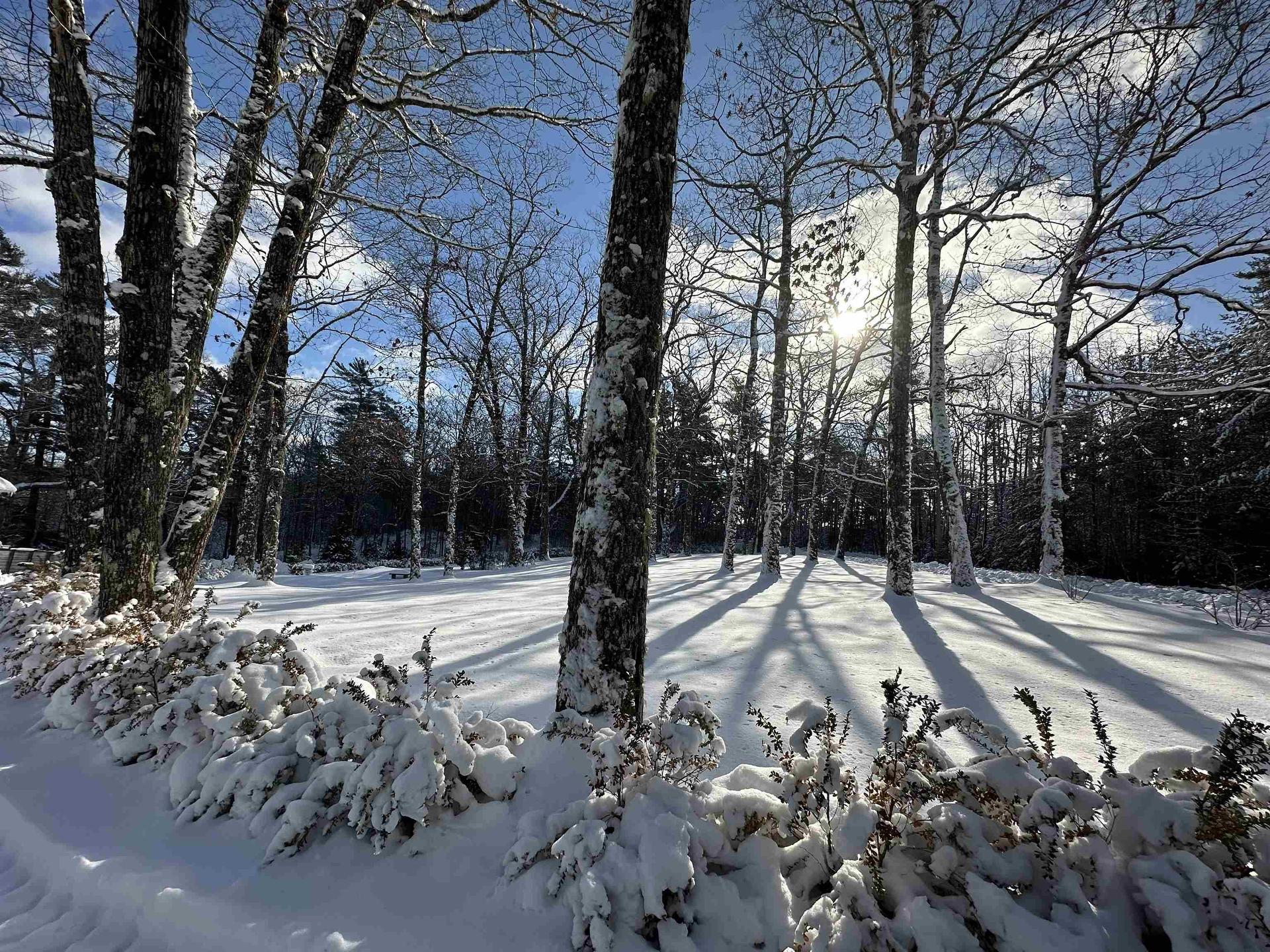 1628 Upper Clyde Road, Clyde River, NS