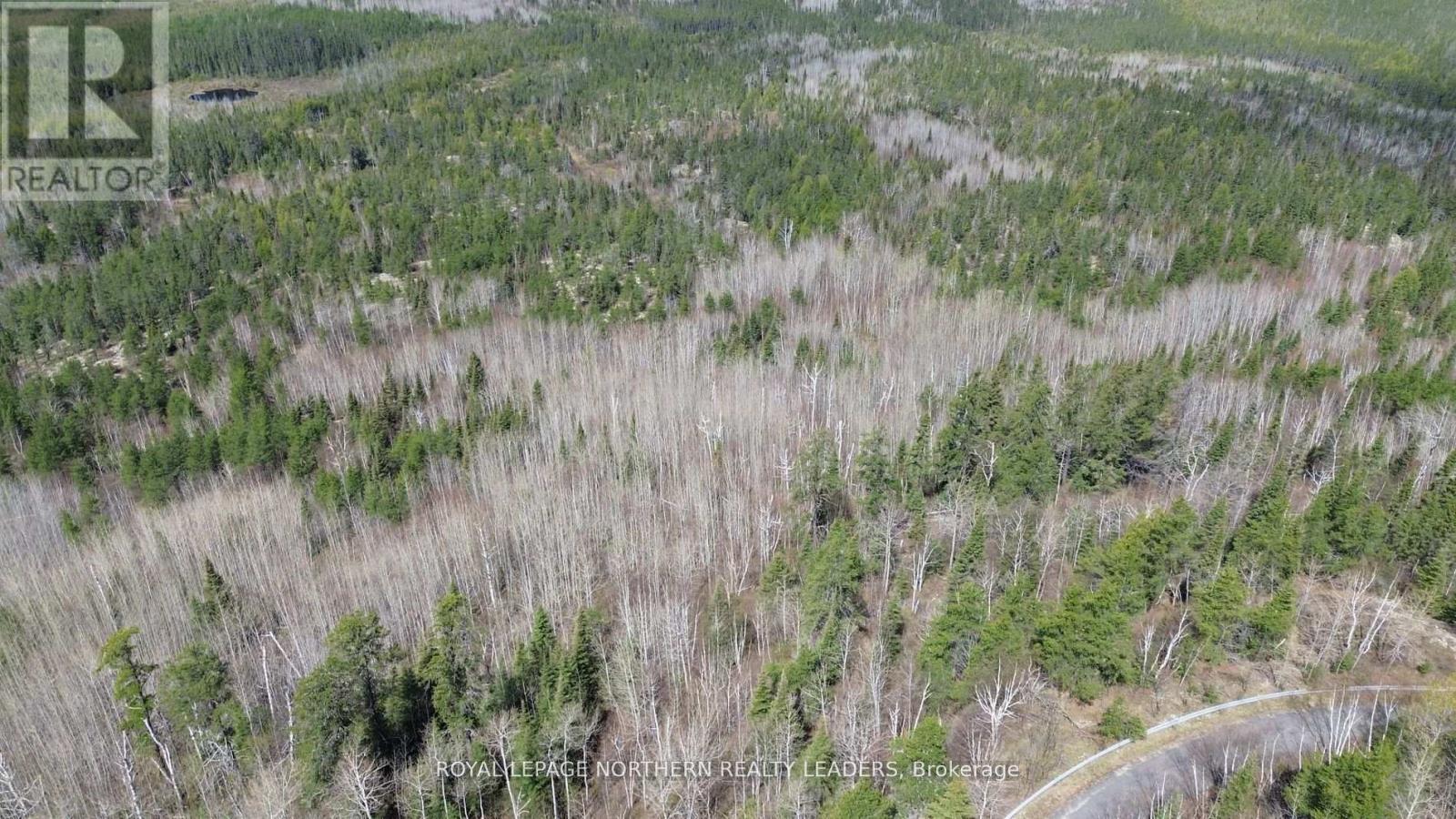 1619 Lava Mountain Road, Black River-Matheson (Matheson), ON