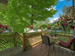 Terrasse -