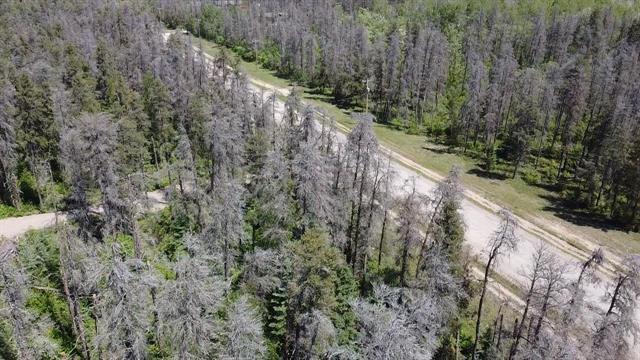 0 Lakeshore Rd, Alexander, MB