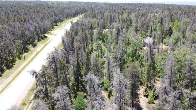 0 Lakeshore Rd, Alexander, MB