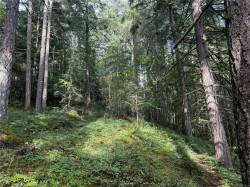 #part-DL106 Grouhel Rd Ladysmith, BC V9G 1J5