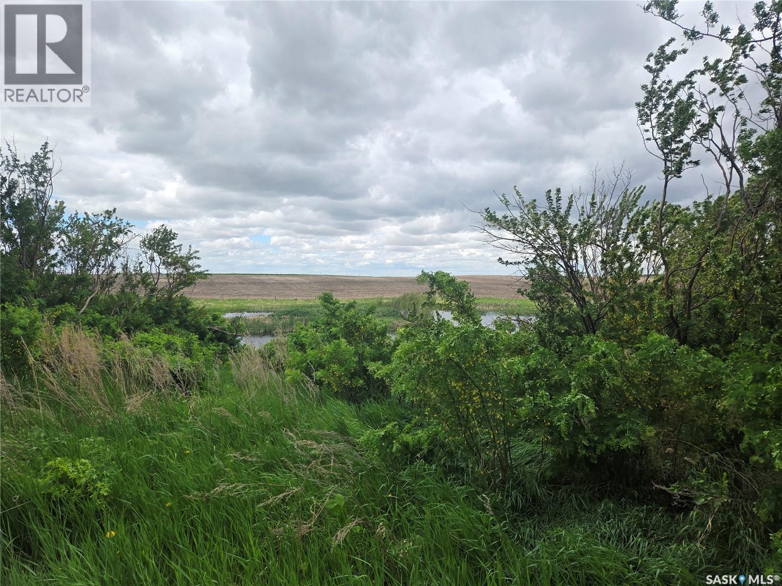 Mcvicar Acreage, Colonsay Rm No. 342, SK
