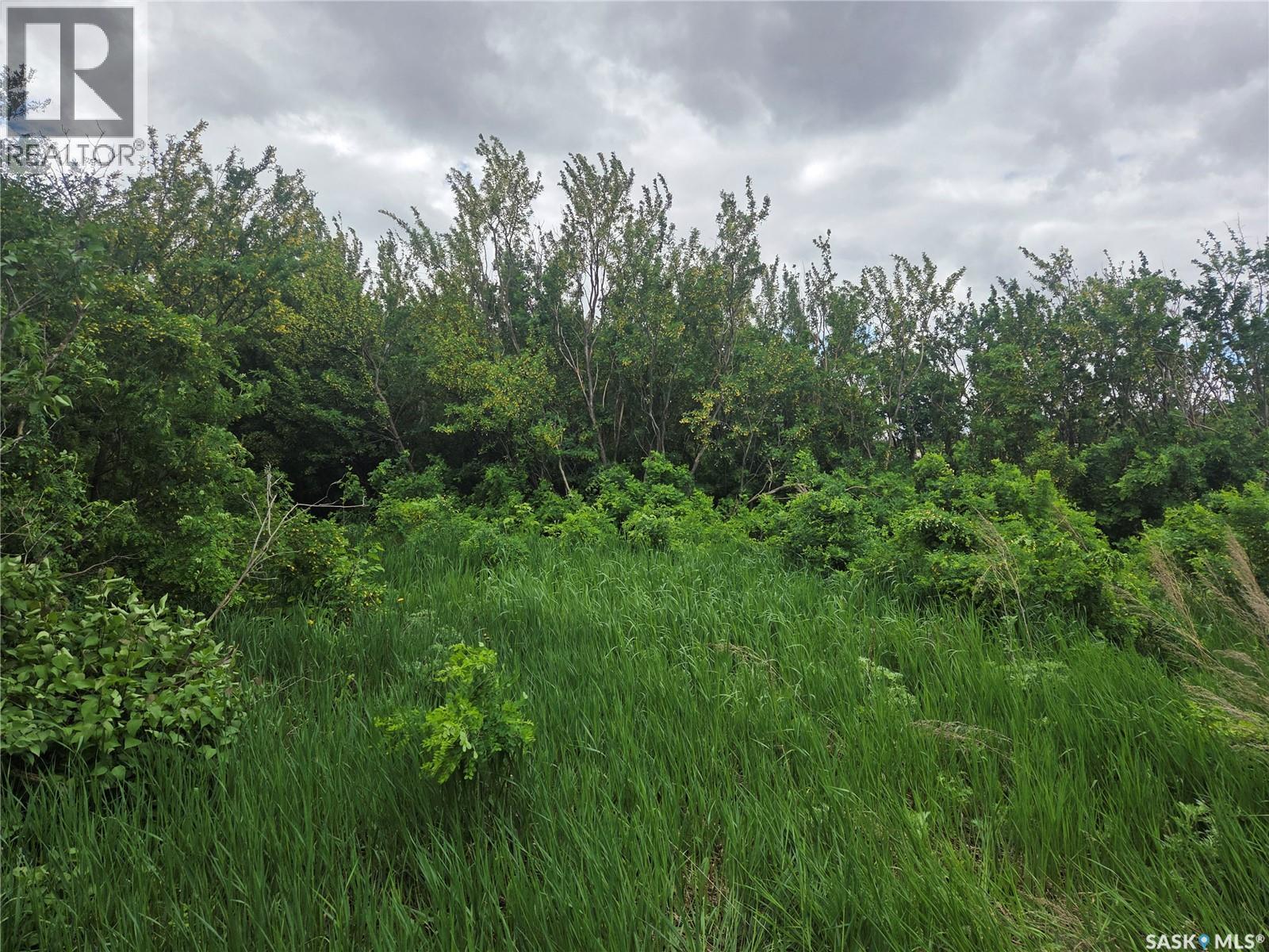Mcvicar Acreage, Colonsay Rm No. 342, SK