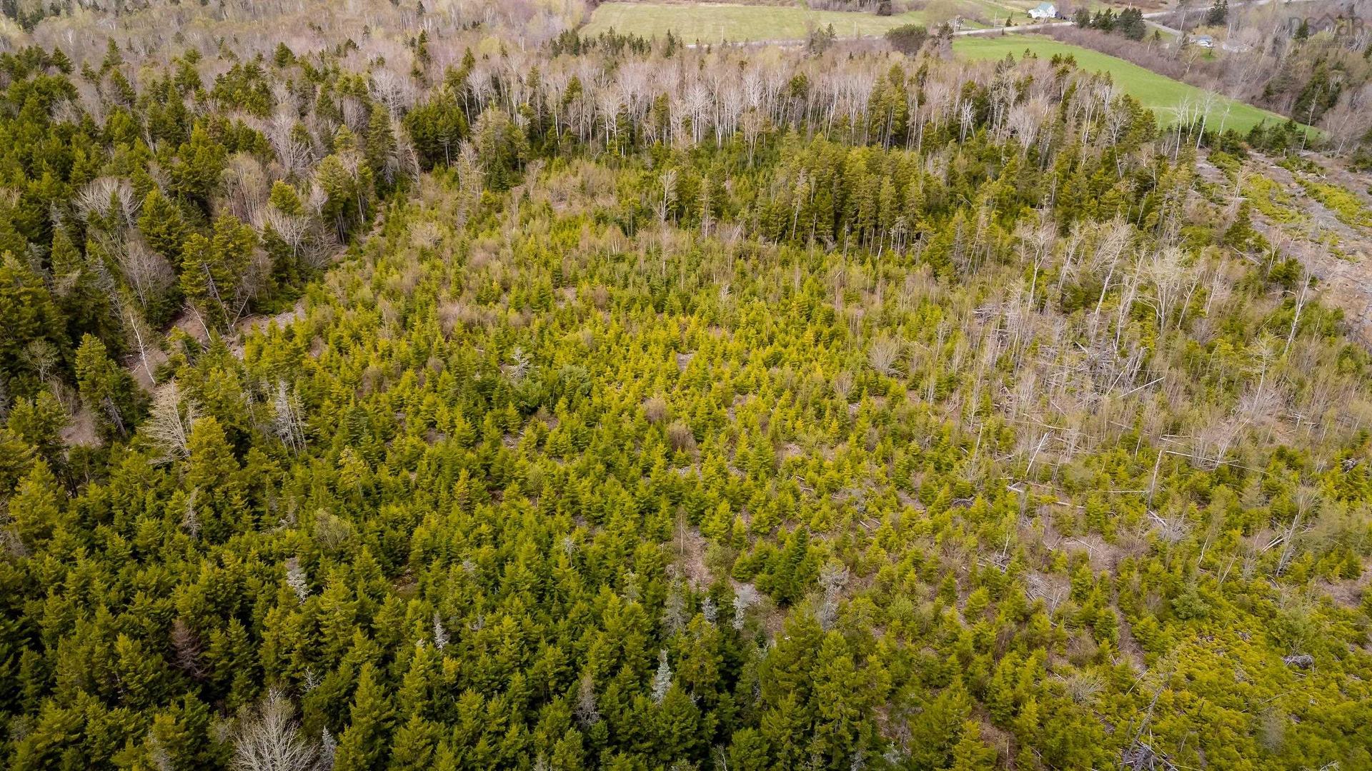 Lot Highway 215, Moose Brook, NS