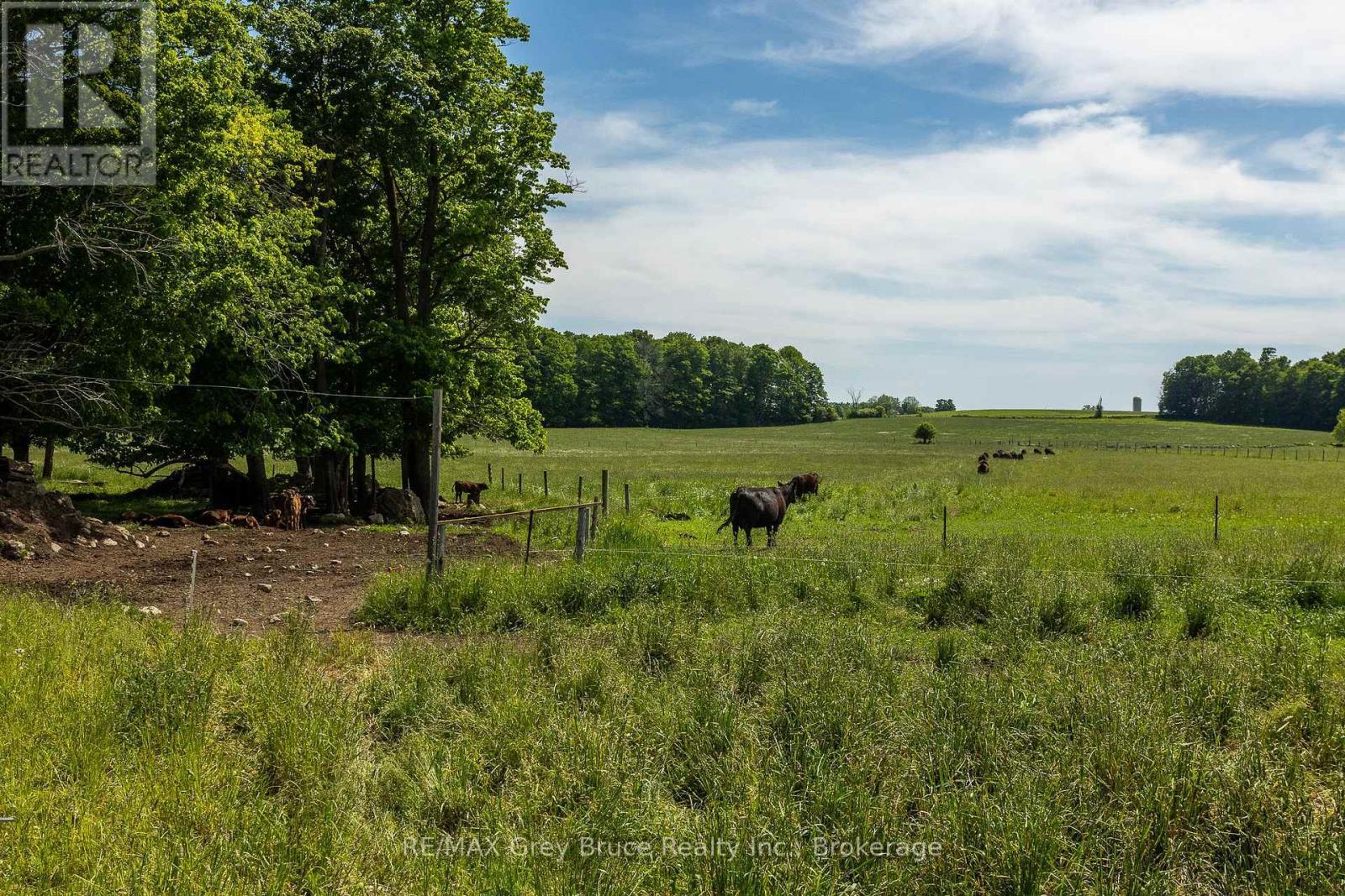 122152 Sideroad 12, Georgian Bluffs, ON