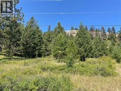 Lot 6 Hulme Creek Road Rock Creek, BC V0H 1Y0