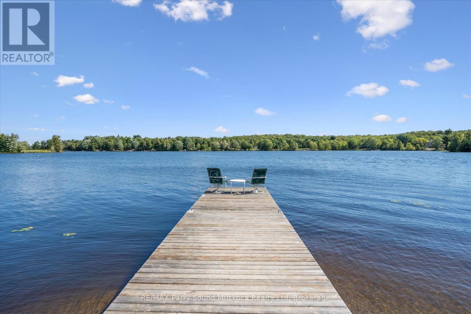 Jump off the Dock! - 39 Hardies Road, Mckellar, ON