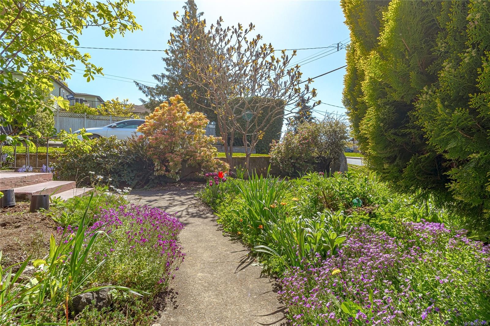 3433 Bethune Ave, Saanich, BC