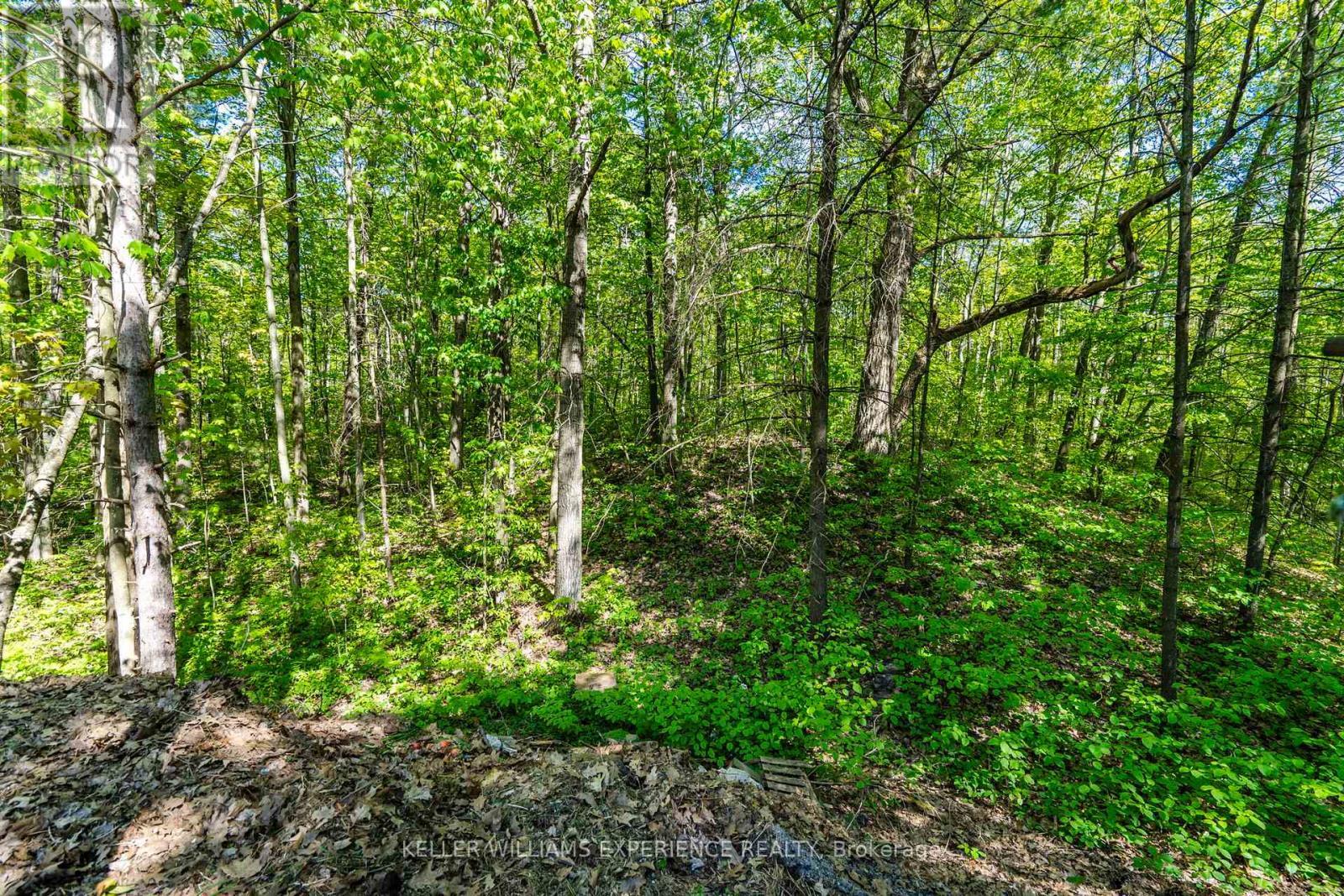 181 Park Road, Tiny, ON