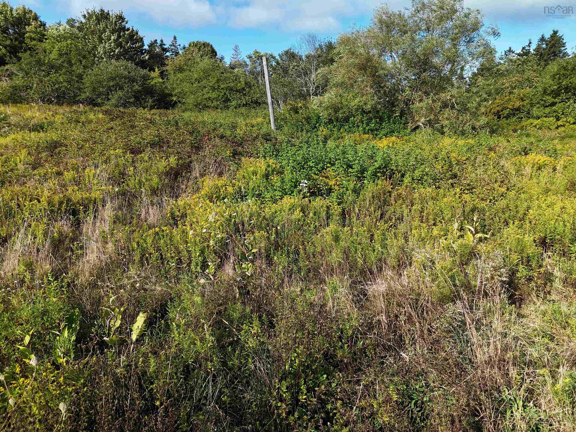 1509 Highway 308, Surettes Island, NS