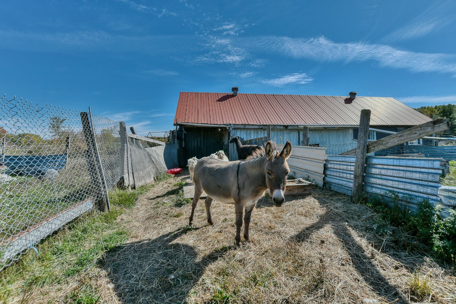 Stable - 1535Z Mtée De La Côte-Rouge, Mirabel, QC
