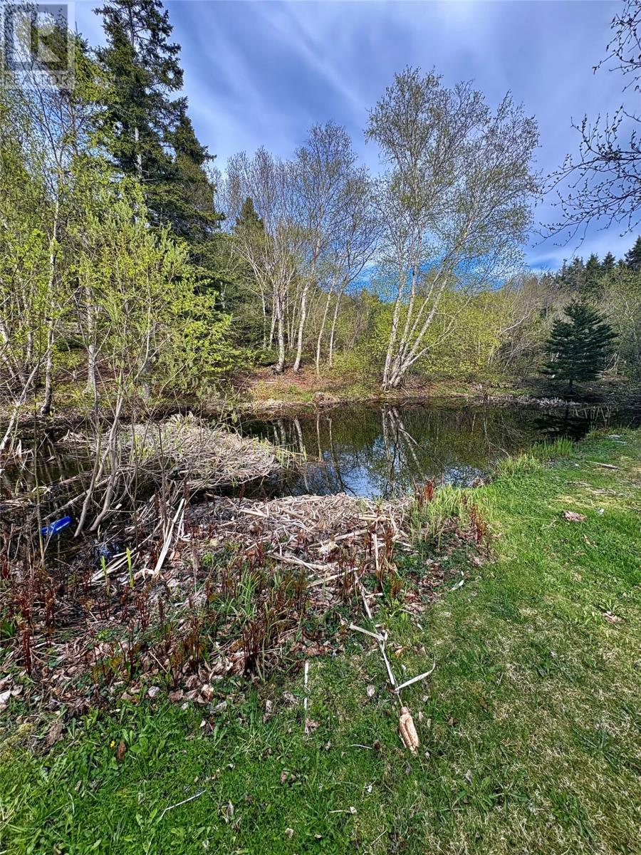 124 Road To The Isles Road, Summerford, NL