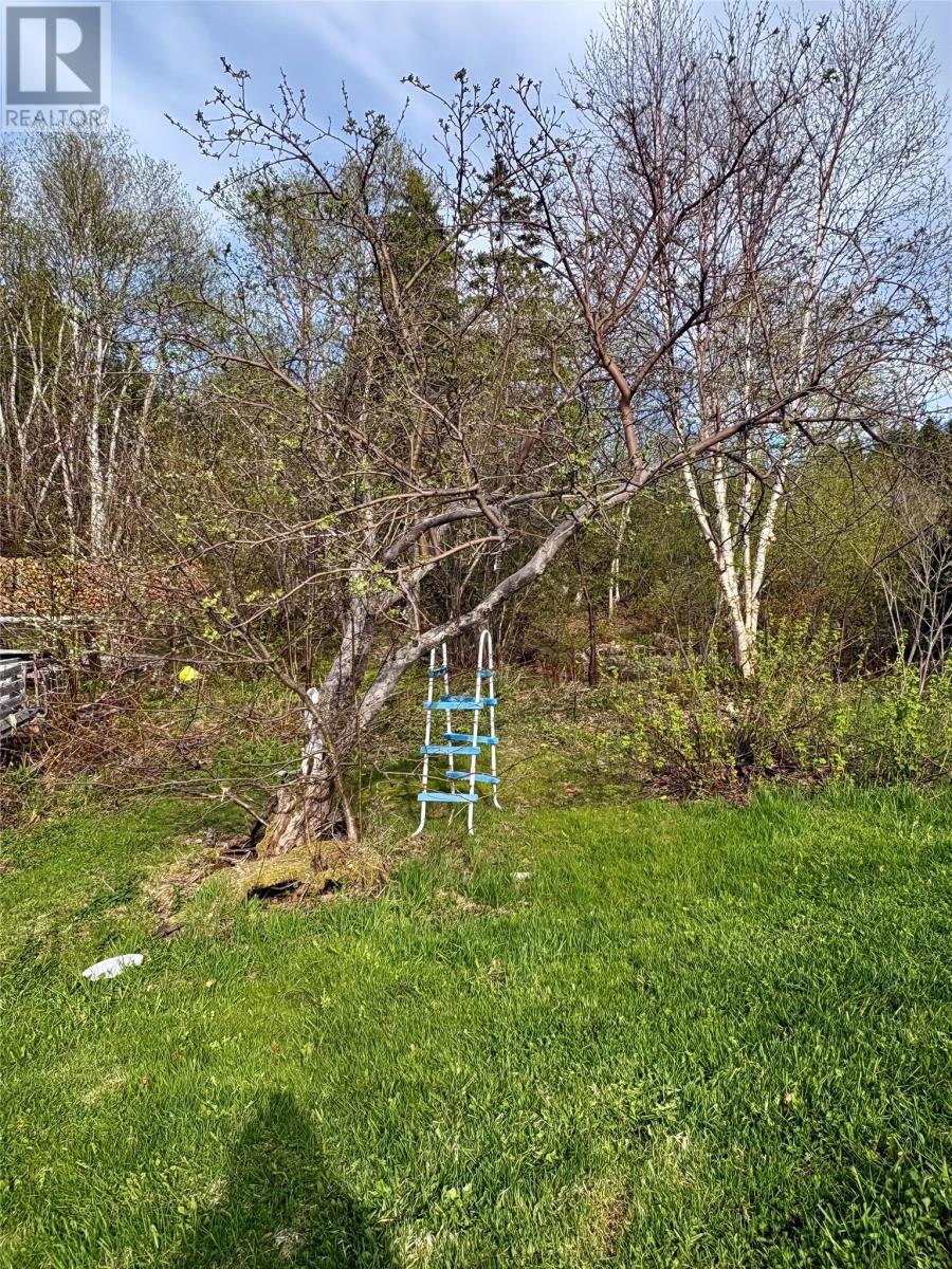124 Road To The Isles Road, Summerford, NL