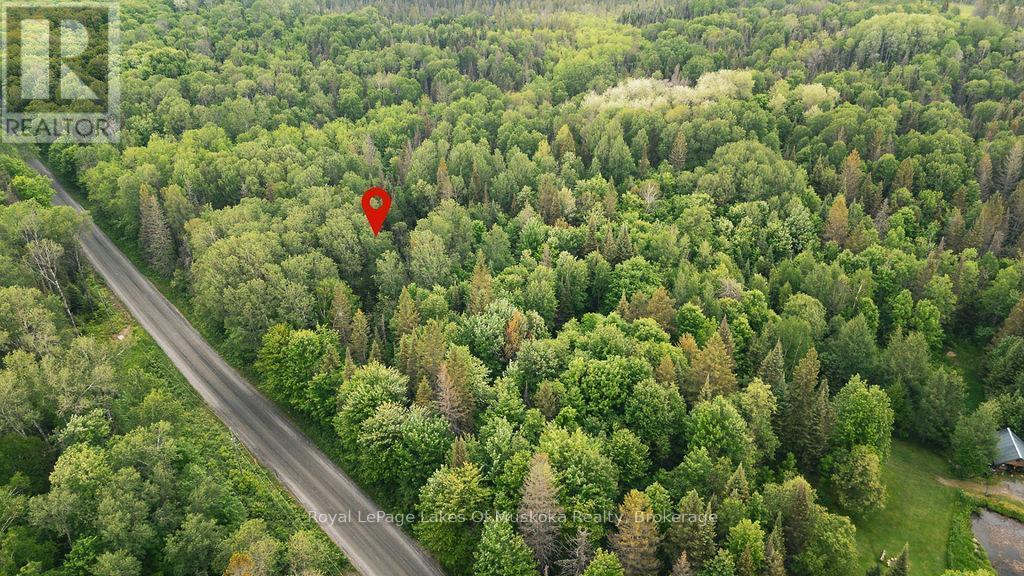 123 Ely Side Road, Armour, ON